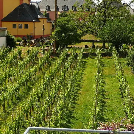公寓 Chic Flat In Between Vineyards 特里特海姆